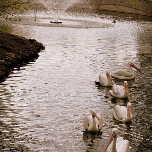 Assiniboine Park Zoo 05.2013