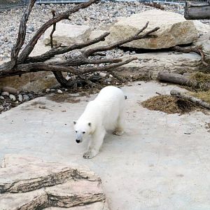 Assiniboine Park Zoo 05.2013