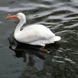 Assiniboine Park Zoo 05.2013