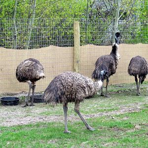 Assiniboine Park Zoo 05.2013