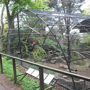 50th Anniversary 18th May 2013