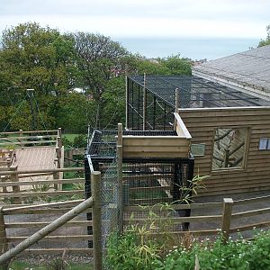 50th Anniversary 18th May 2013