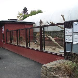 50th Anniversary 18th May 2013