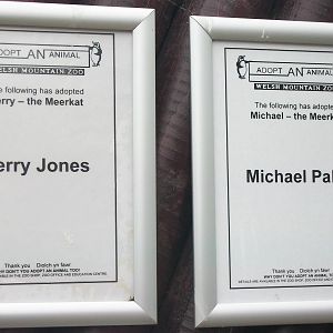 50th Anniversary 18th May 2013