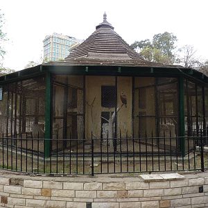 Bird of prey building