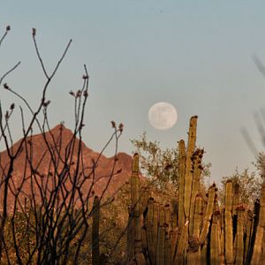 moonrise over zoo grounds