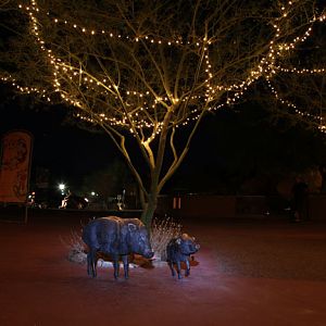zoo entrance at night
