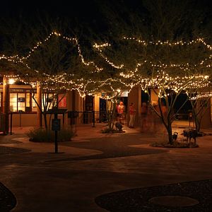 zoo entrance at night