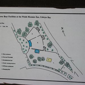 Plan of Brown Bear exhibit 19th May 2013