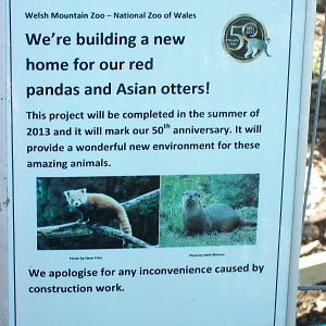 Information 19th May 2013