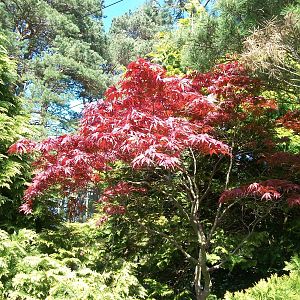 Woodland area 19th May 2013