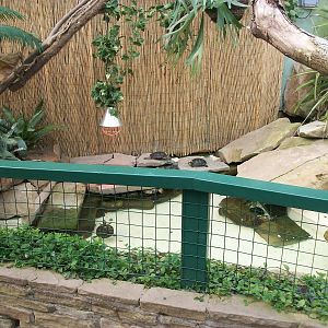 Inside Reptile House 19th May 2013