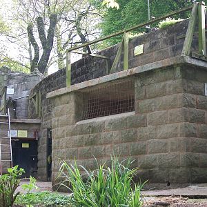 Rear of Bear dens/old pits 19th May 2013