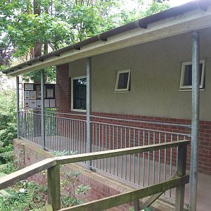 Tiger indoor quarters and path to viewing window 20th May 2013