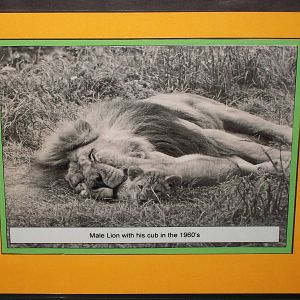 50th Anniversary Photographic Display 20th May 2013