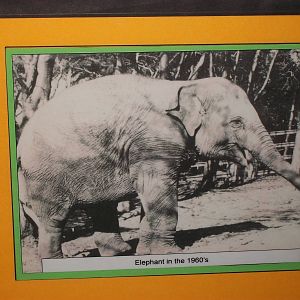 50th Anniversary Photographic Display 20th May 2013