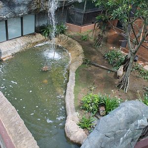 Capybara and Tamarin enclosure - June 2013