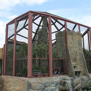 Rainforest walkthrough - June 2013