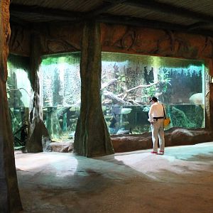 Rainforest aquariums - June 2013