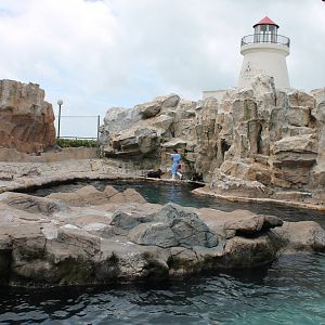 Sealion enclosure - June 2013