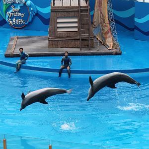 Sea Dreams Show - June 2013