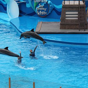 Sea Dreams Show - June 2013