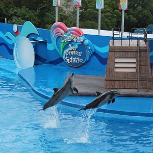 Sea Dreams Show - June 2013