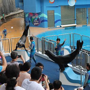 Sea Dreams Show - June 2013