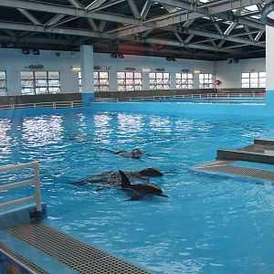 Breeding Centre - June 2013