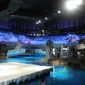 North Pole Exhibit - June 2013