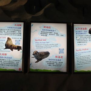 North Pole Signage - June 2013