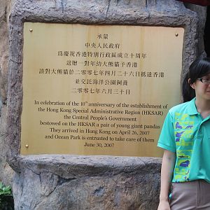 Giant Panda plaque - June 2013