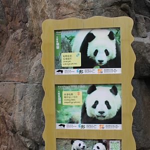 Giant Pandas IDs - June 2013