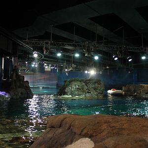 Top of the main tank - June 2013