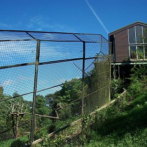 Restaurant with Tiger exhibit below 21st May 2013