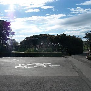 A final look back at my favourite aviary 21st May 2013