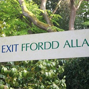 Oh dear! The end of my four days at the zoo 21st May 2013