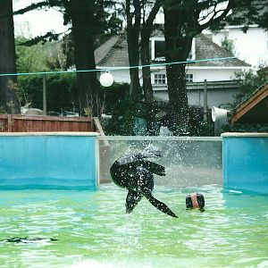 50th Anniversary 18th May 2013