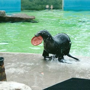 50th Anniversary 18th May 2013