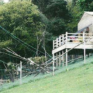 50th Anniversary 18th May 2013