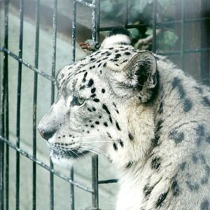 50th Anniversary 18th May 2013