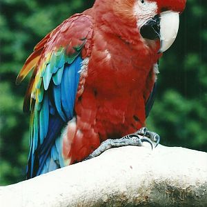 50th Anniversary 18th May 2013