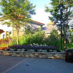Jun. 2013 - Historic Vine Street Village - Zoo Shop Flower Bed