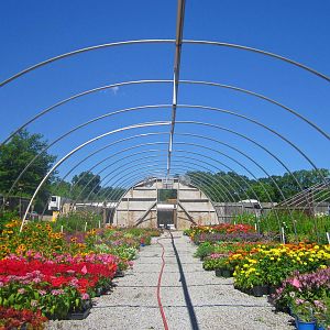 Jun. 2013 - Lower Plant Nusery