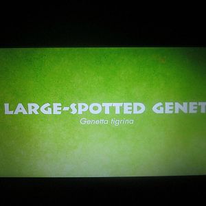 Jun. 2013 - Jungle Trails - New Electronic Genet Sign