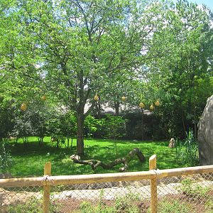 Jun. 2013 - Africa - New Cheetah Exhibit
