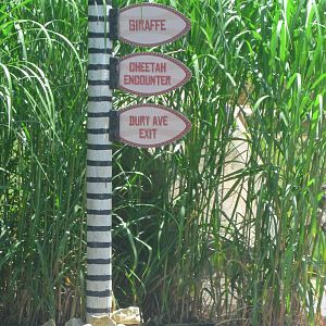 Jun. 2013 - Africa - Directional Signs