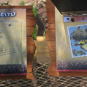 Jun. 2013 - Africa - Weaverbird Signs