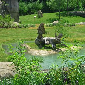 Jun. 2013 - Africa - Vulture Island