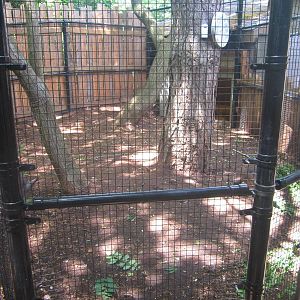 Jun. 2013 - New Wallaby Exhibit